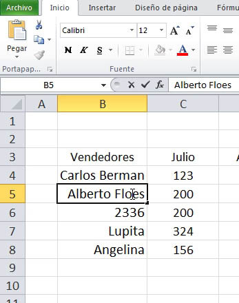 Editando Datos Excel 2010