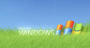 Windows